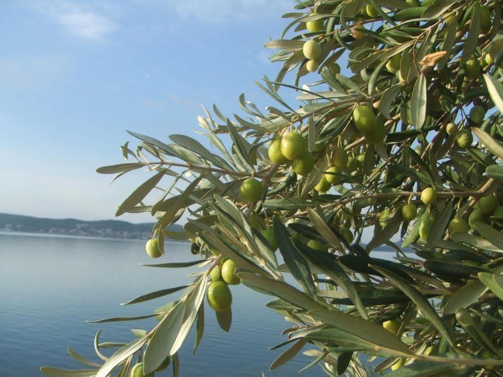 Nefes Hotel Ayvalı Εξωτερικό φωτογραφία